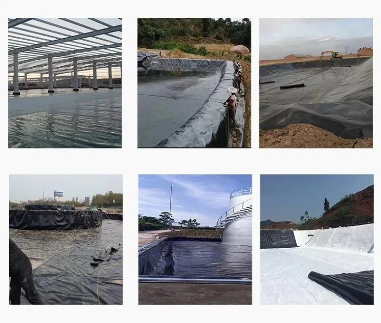 Usage scenarios of Geomembrane Construction Plastic Roll